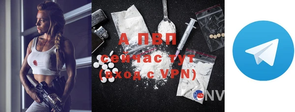 apvp Белокуриха