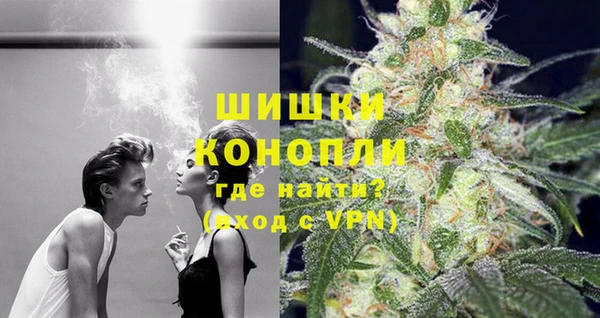 apvp Белокуриха