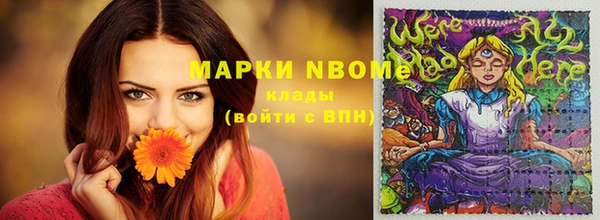 apvp Белокуриха