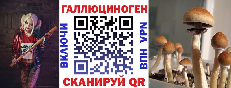 Псилоцибиновые грибы мицелий купить закладку Яблоновский